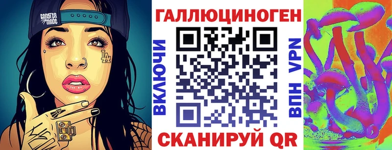 Галлюциногенные грибы Psilocybe  наркота  Чегем 