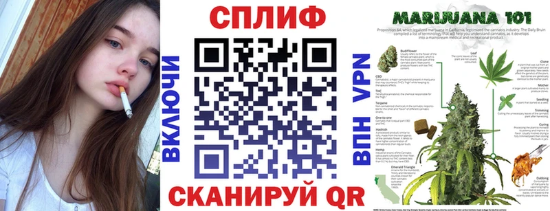Марихуана гибрид  Чегем 